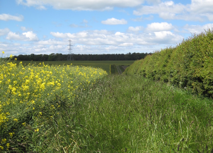 Environment